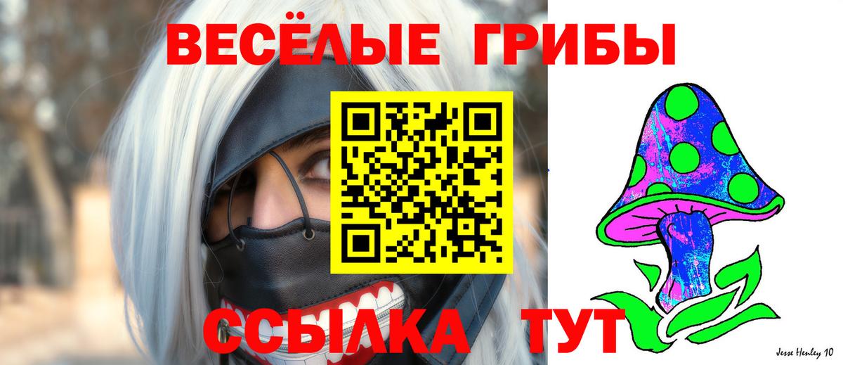 Псилоцибиновые грибы Psilocybine cubensis  Вход с VPN  Минеральные Воды  Галлюциногенные грибы прущие грибы 